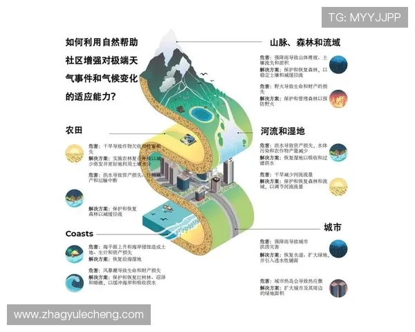 全面解析K8视讯注册步骤及常见问题解决方案指南